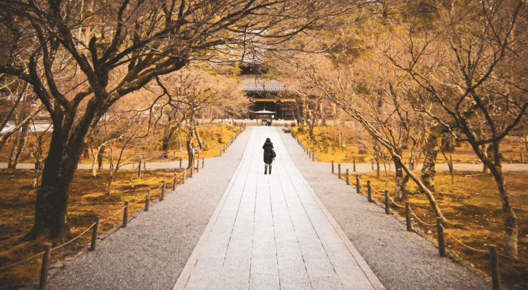 Krótsze dni, mniej światła, mniej siły – jak brak słońca wpływa na emocje, sen i motywację?